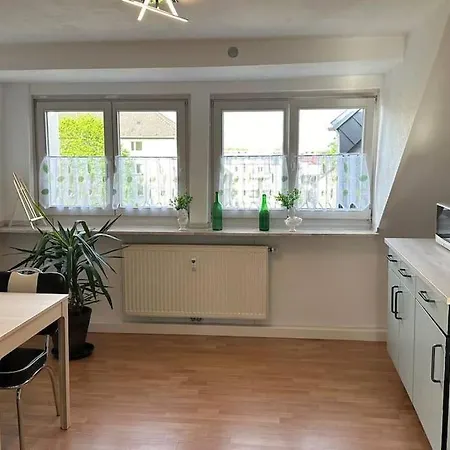 Frisch Renovierte Haldenblick Fuer 2-4 Personen, Zentral Gelegen *