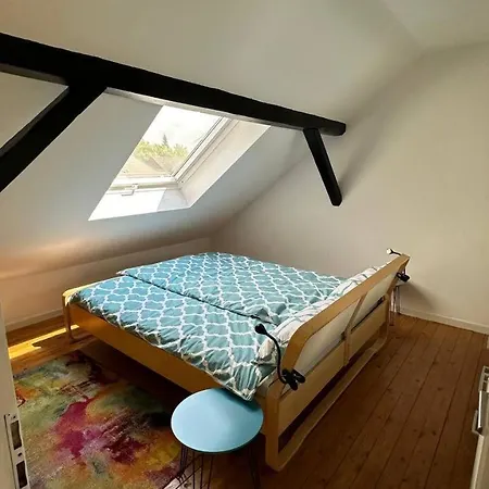 Apartment Frisch Renovierte Haldenblick Fuer 2-4 Personen, Zentral Gelegen *